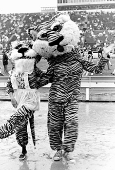 The 1974 Homecoming Version of the Tiger Mascot (with Lil Tiger)