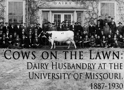 Image link to online exhibit entitled Cows on the Lawn
