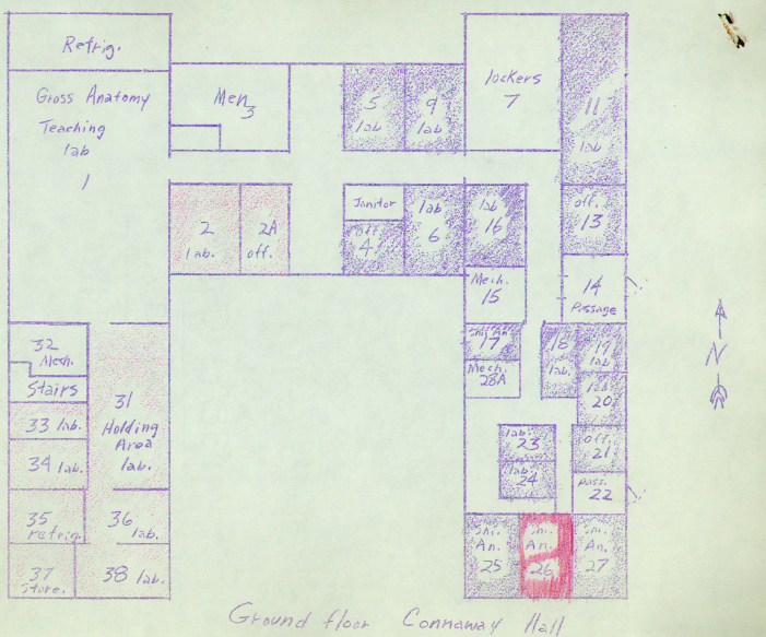 MU in Brick and Mortar - Connaway Hall - 1964 Research Addition