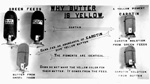 Poster, Why Butter Is Yellow
