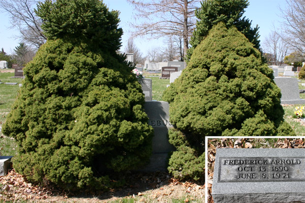 gravestone of frederick arnold middlebush