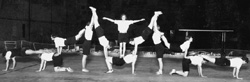 Gymnastics Demonstration, 1931